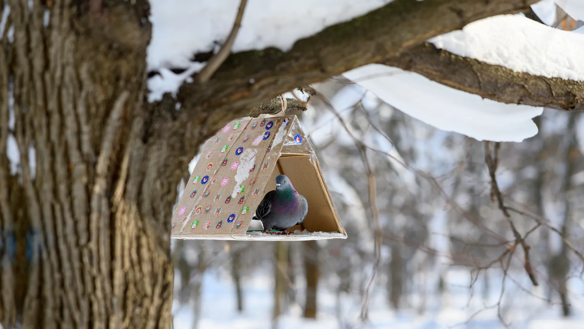 медиасток.рф