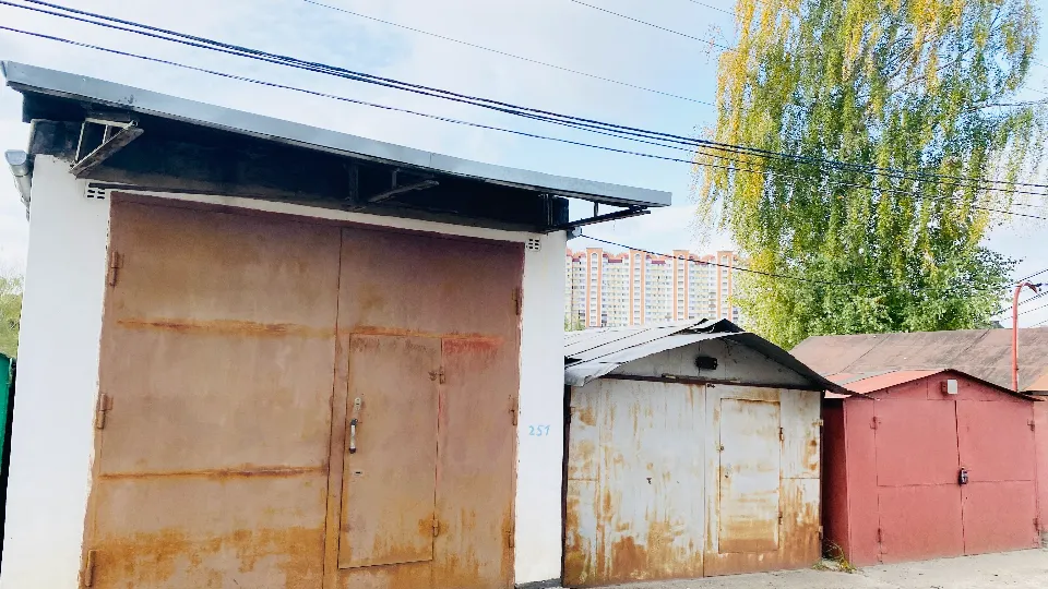 Фото: МедиаБанк Подмосковья/Анастасия Сараева