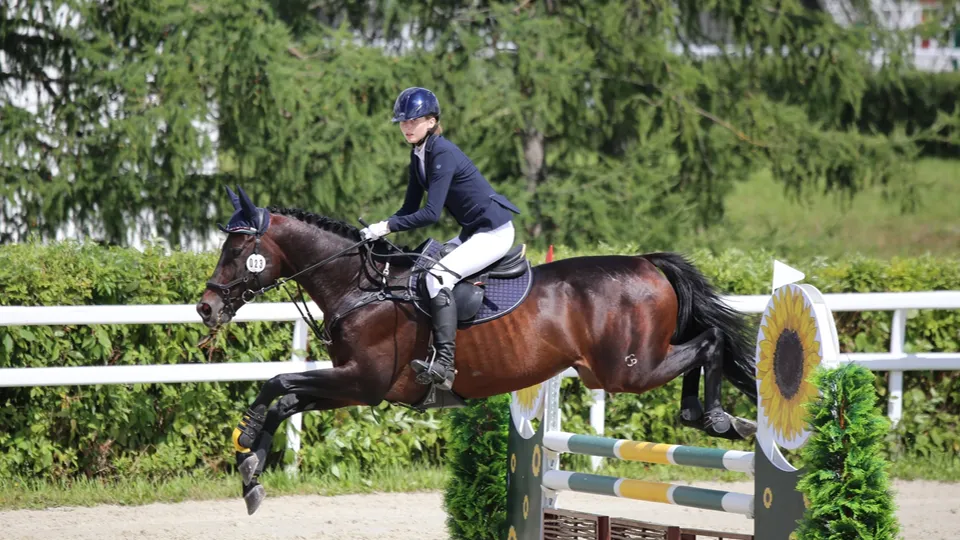 Фото: пресс-служба Администрации г.о. Химки