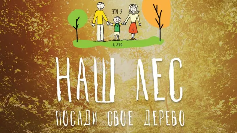 Акция «Наш лес» делает Подмосковье все более великолепным – Воробьев