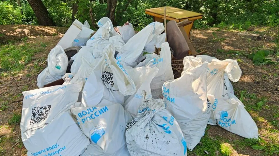 Фото: МедиаБанк Подмосковья/Елена Катасонова