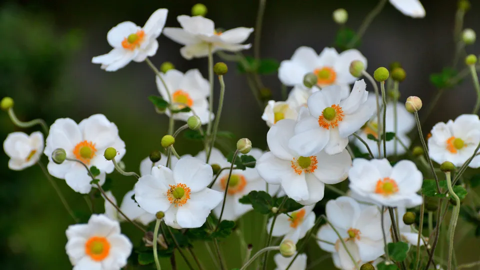 Фото: istockphoto.com/magicflute002