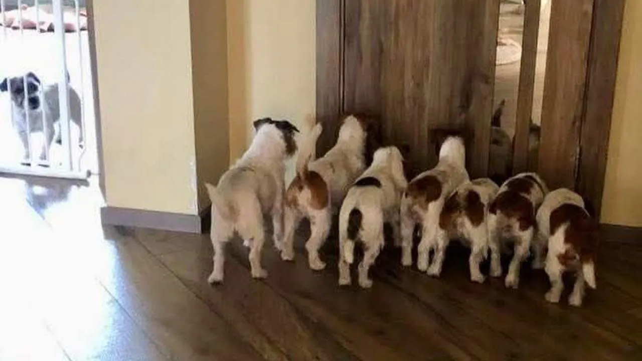 личный архив Юлии Беловой