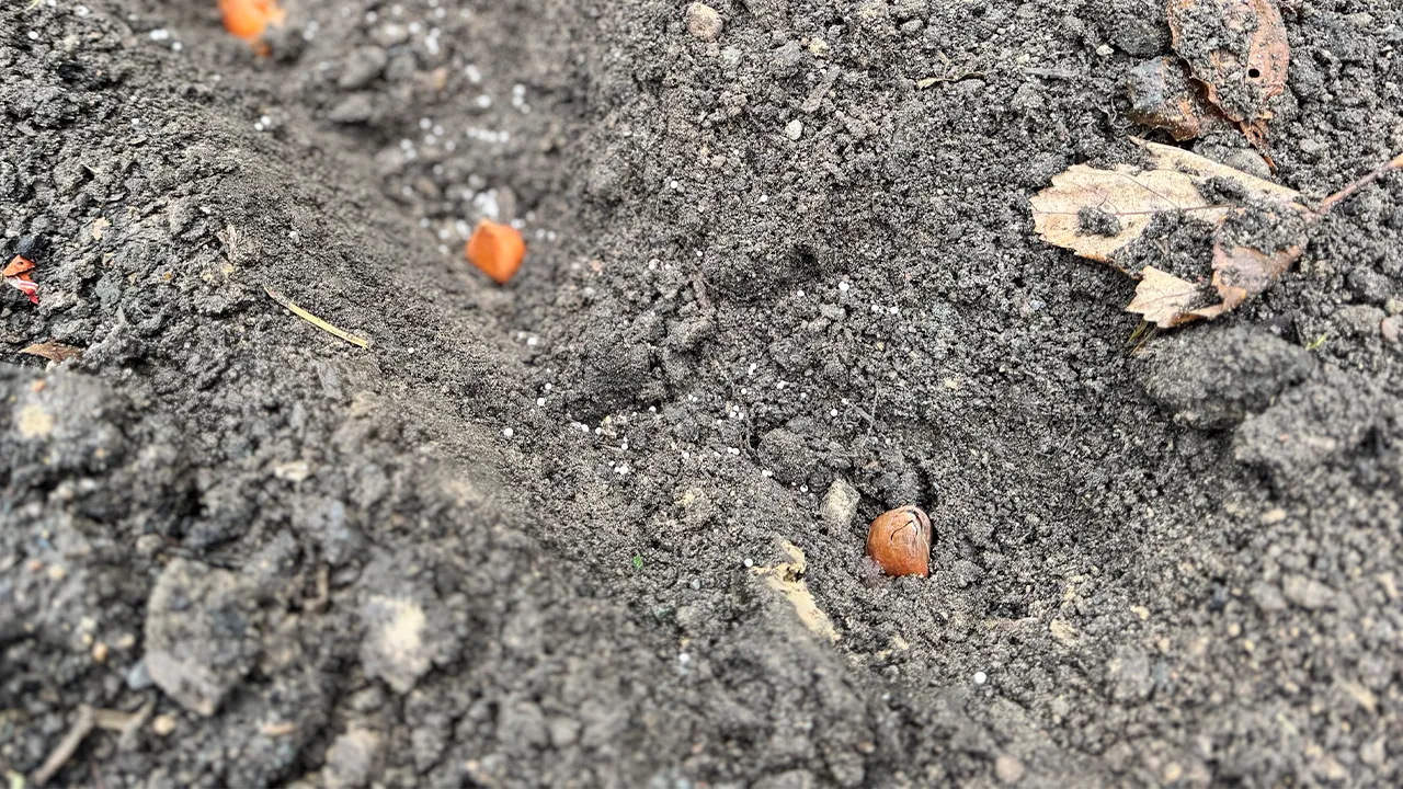 Медиабанк Подмосковья/Татьяна Рунова