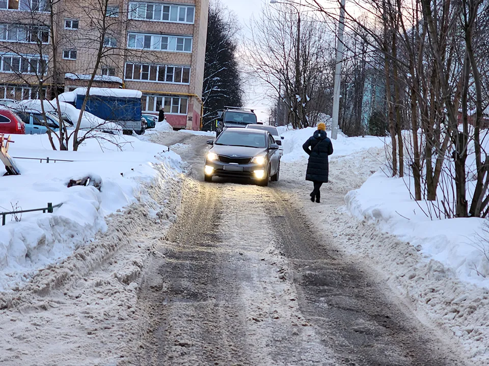 Фото: МедиаБанк Подмосковья/Екатерина Мелкозерова