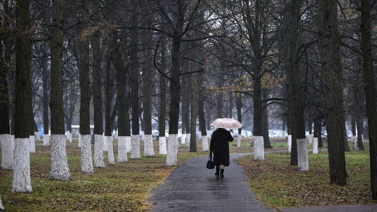 медиасток.рф