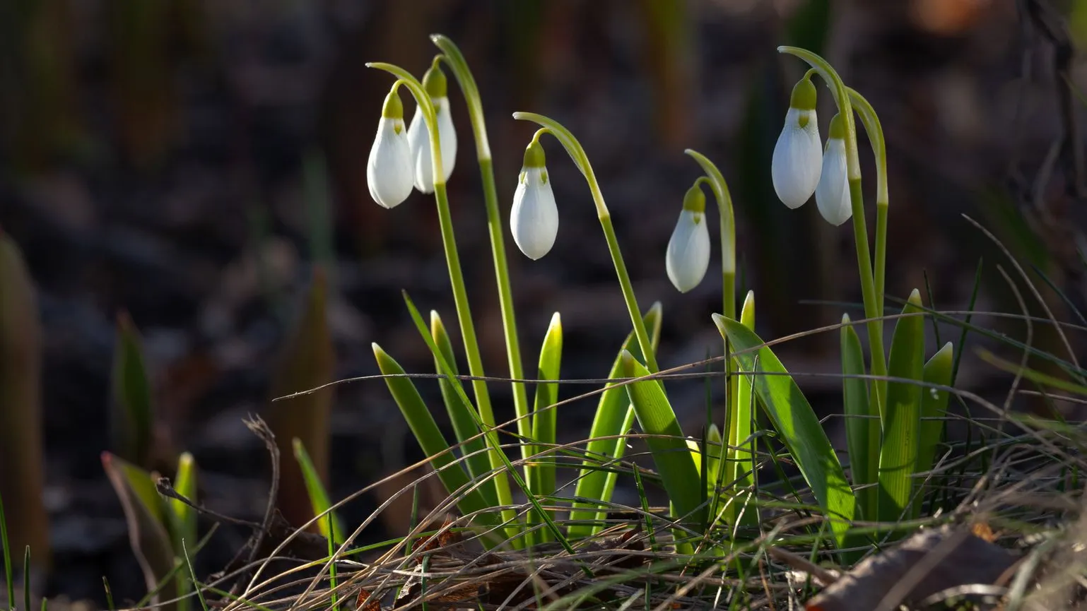медиасток.рф