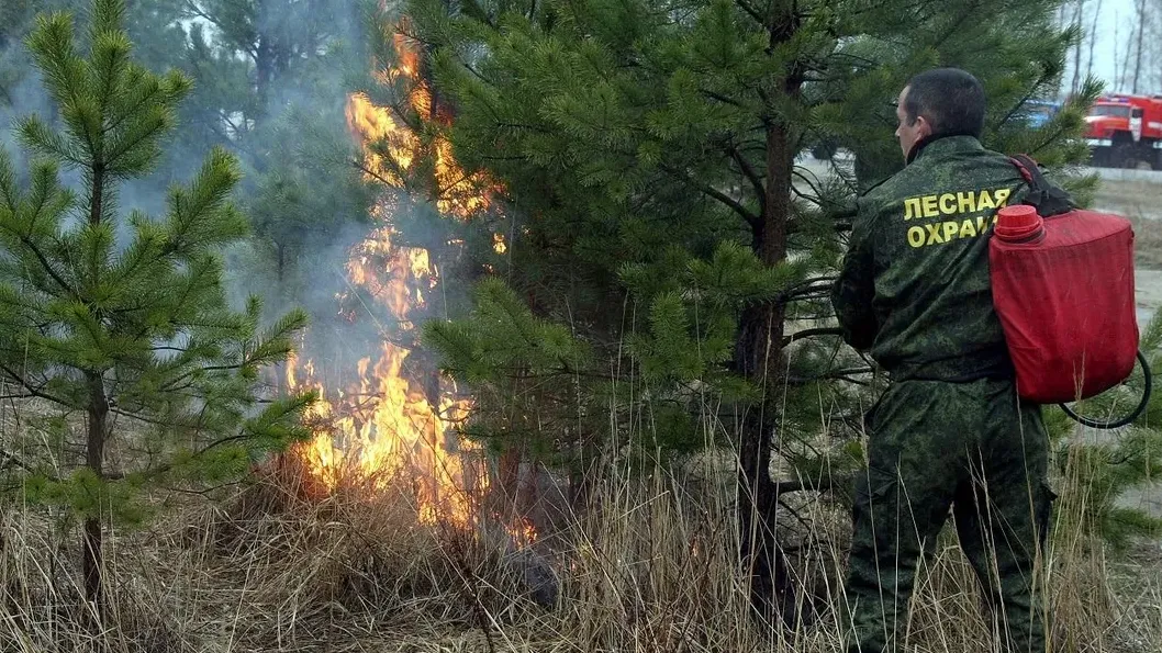 Фото: Медиаархив Подмосковья