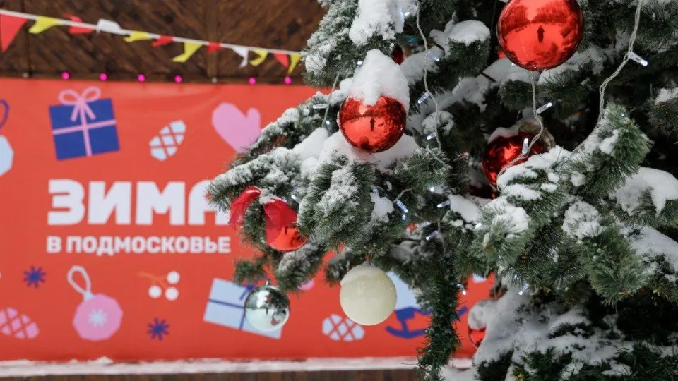 Фото: Администрация городского округа Солнечногорск