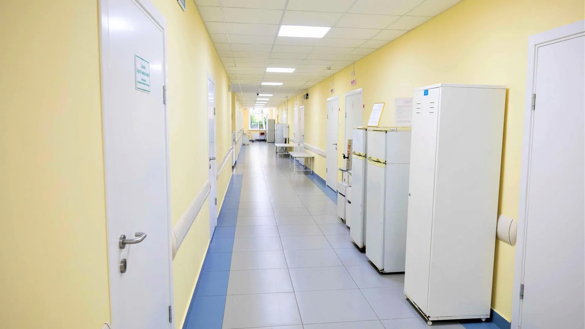 Фото: пресс-служба губернатора и правительства Московской области