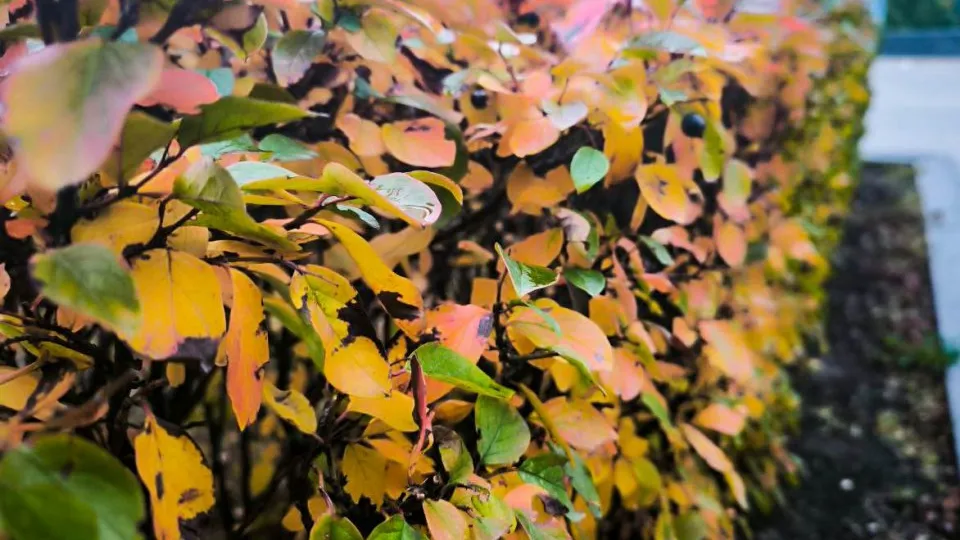 Фото: REGIONS/Роман Малышенко