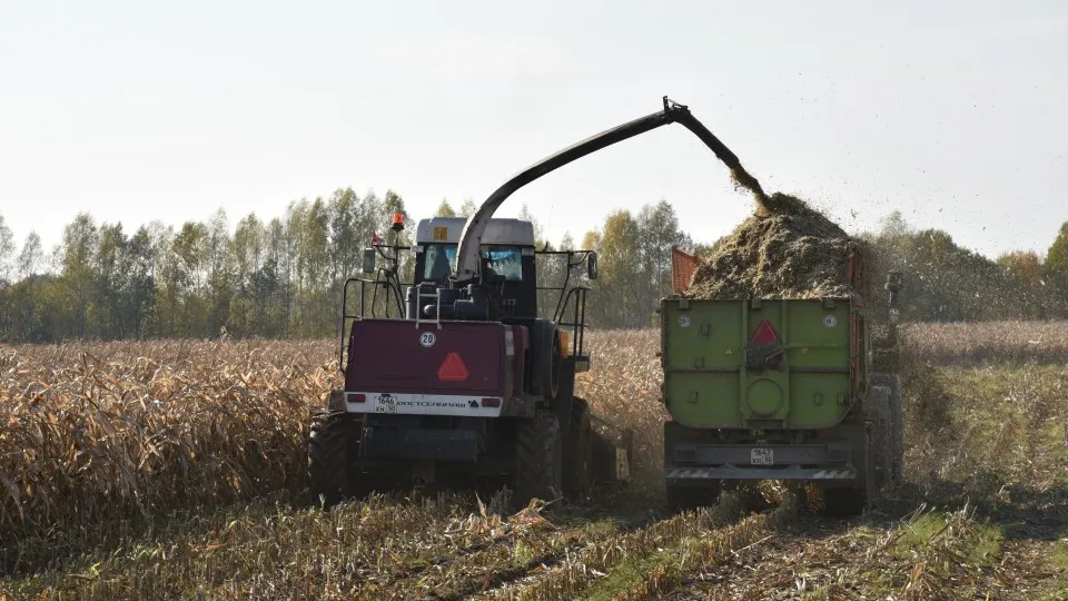 Фото: МедиаБанк Подмосковья/Владимир Останин