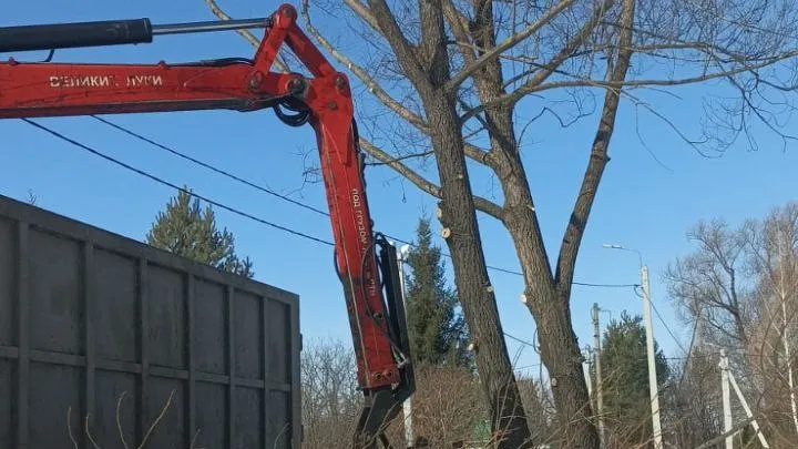 Фото: пресс-служба администрации г.о. Кашира