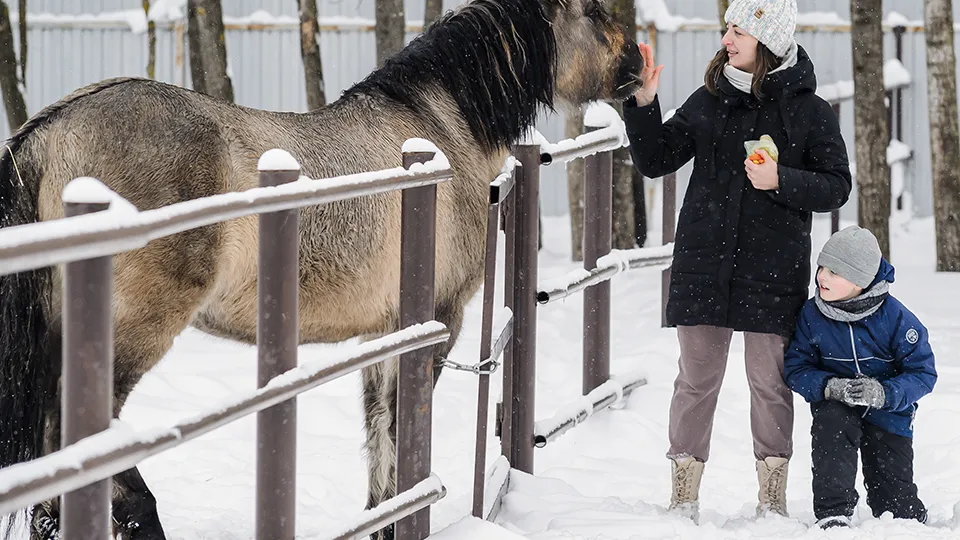 Фото: медиасток.рф
