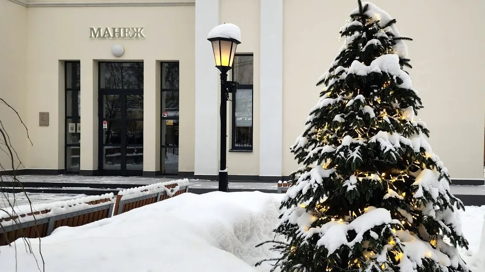 Фото: Хавива Фонина