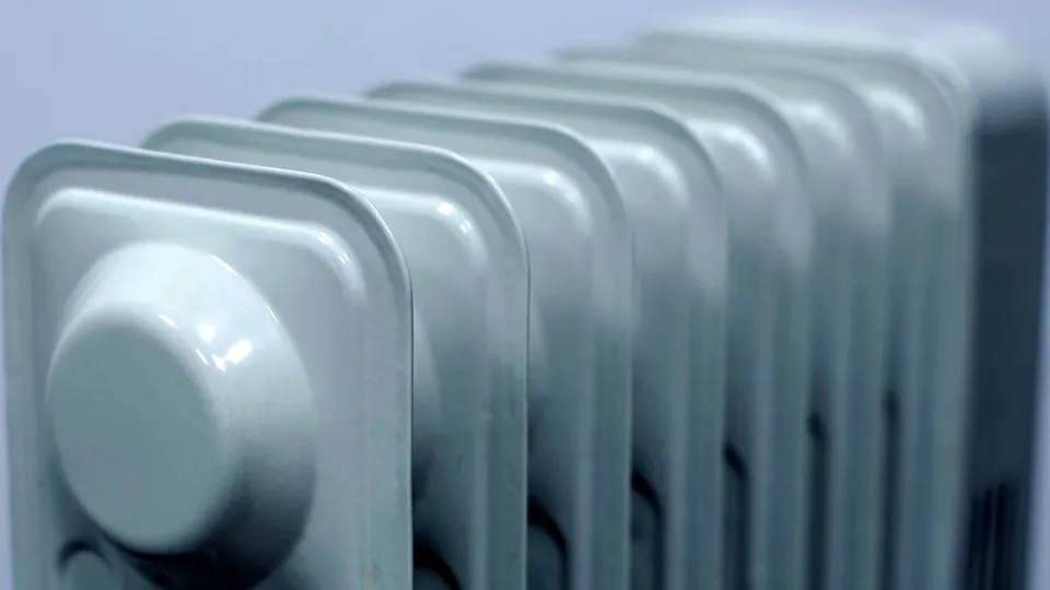 Фото: pxhere.com