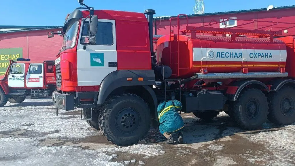 пресс-служба Комитета лесного хозяйства МО