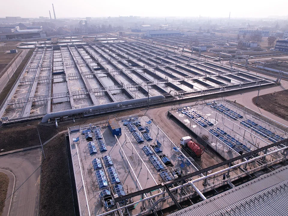 Фото: пресс-служба губернатора и правительства Московской области