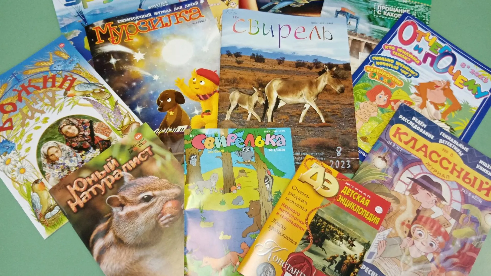 Фото: «Центральная библиотека» г. о. Пущино