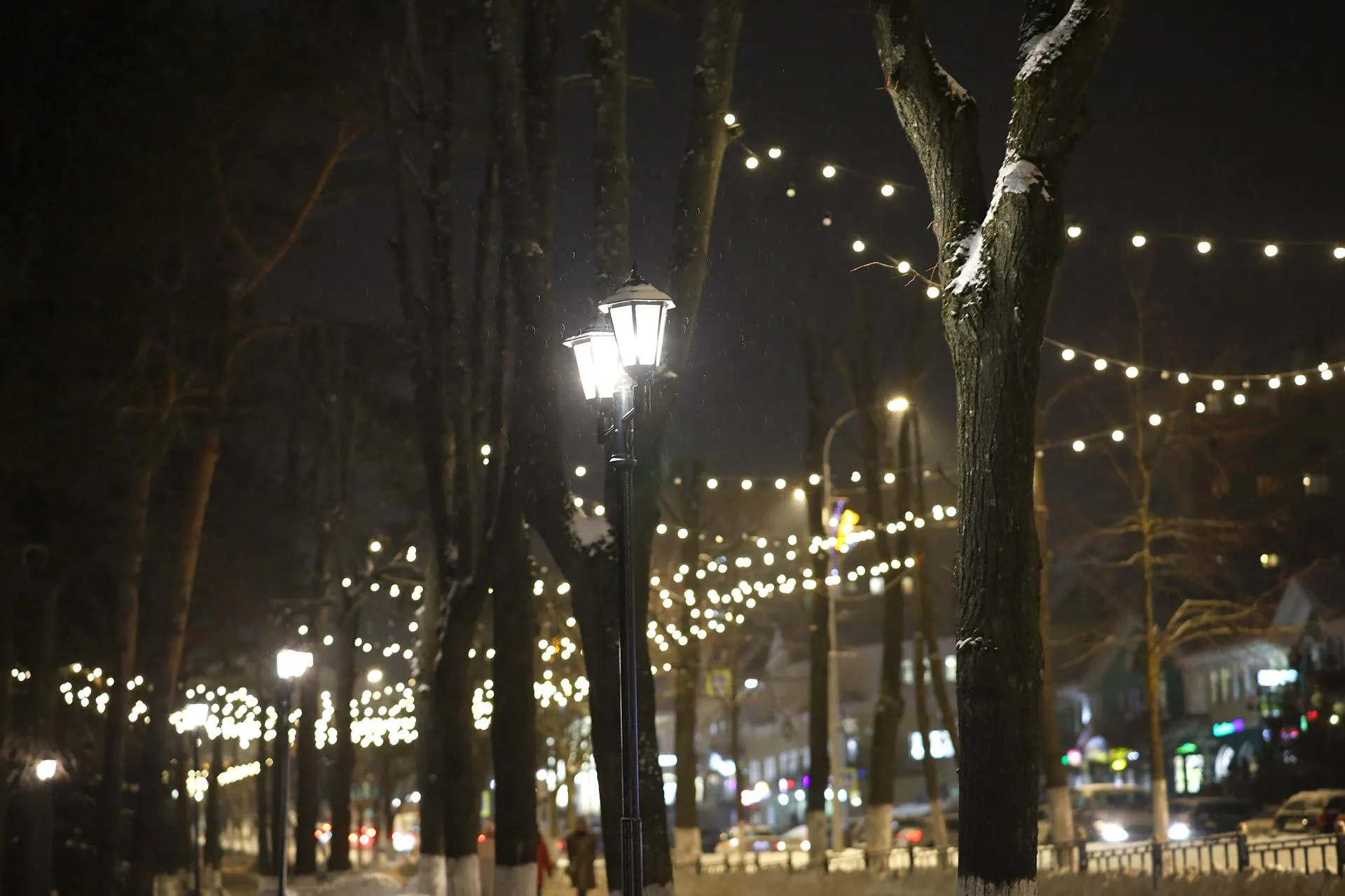 Фото Ольга Пятикрестовская.