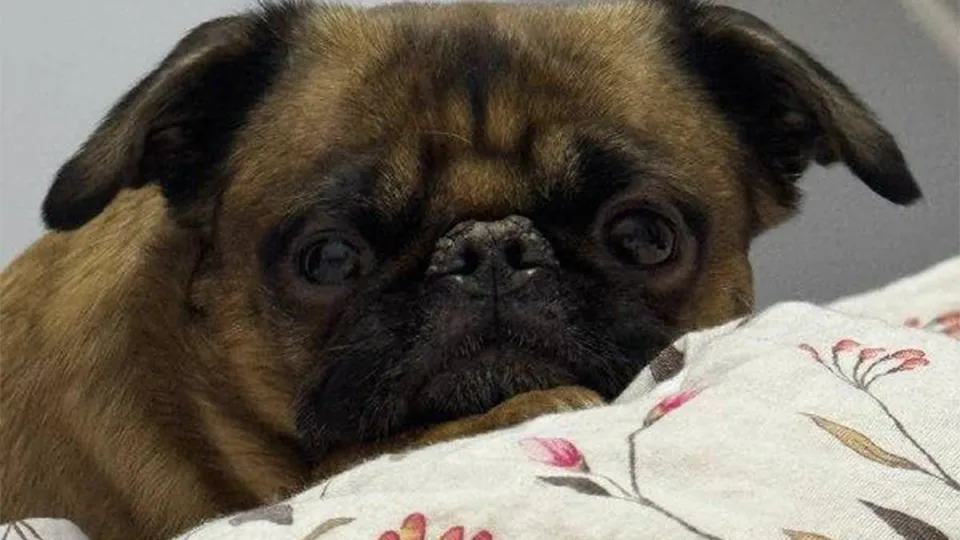 Фото: ГК «Гранель»