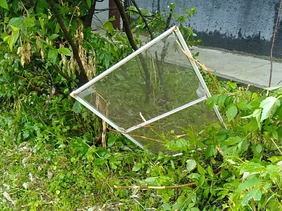 Фото: t.me/podolsk24life