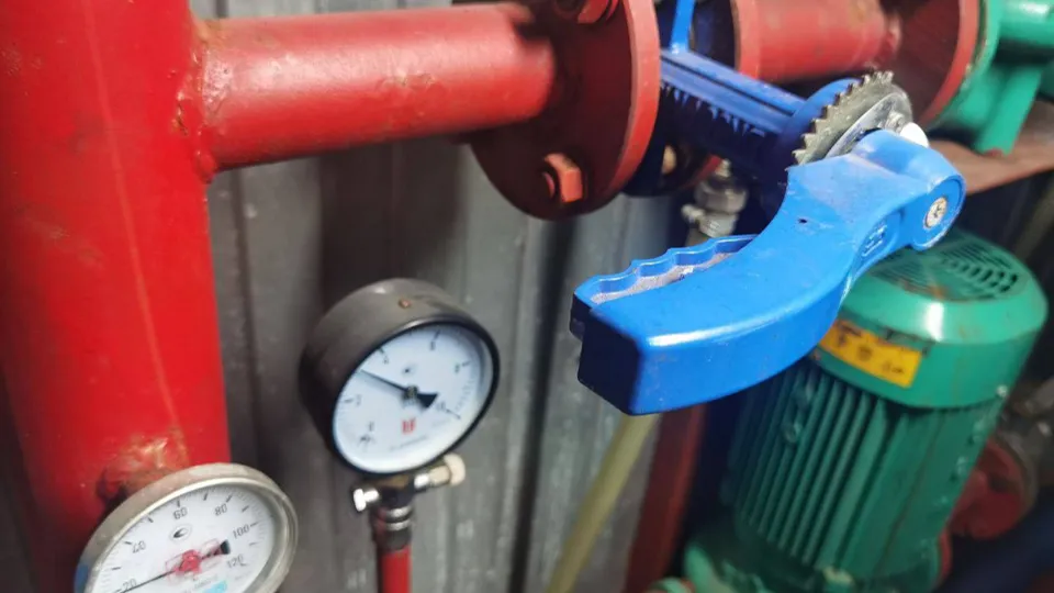 Фото: t.me/PressaSP