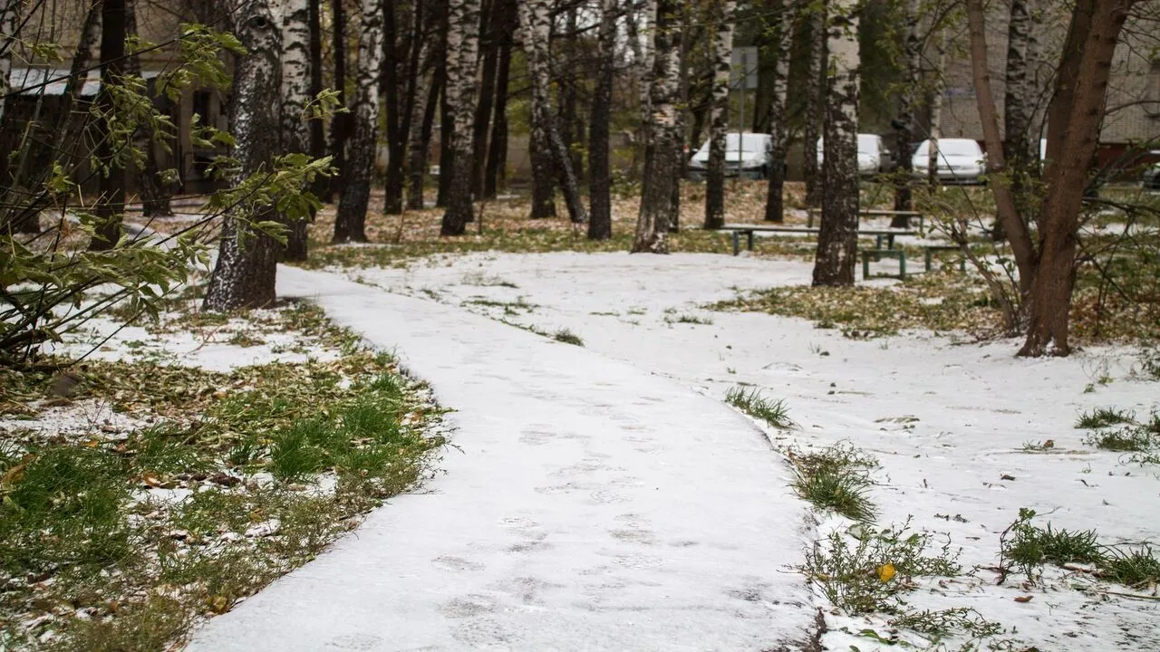 Фото: медиасток.рф