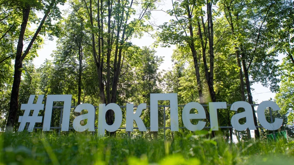 Фото: медиасток.рф