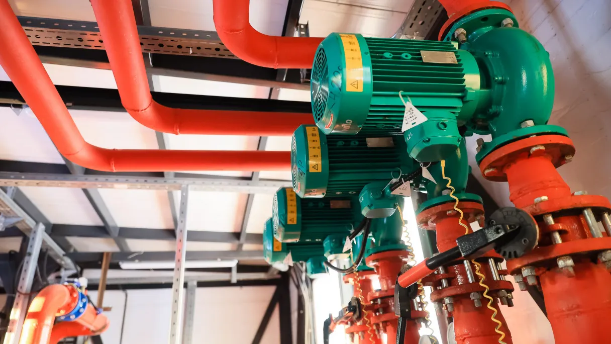 Фото: Константин Семенец