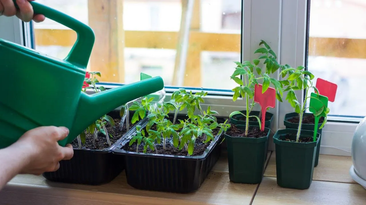 istockphoto.com/ElenaTaurus