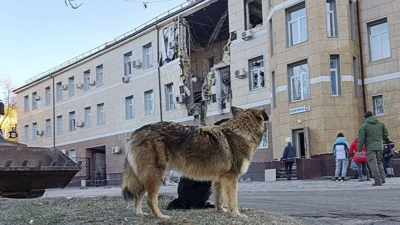Военный эксперт рассказал, зачем ВСУ жестоко обстреливает Донецк