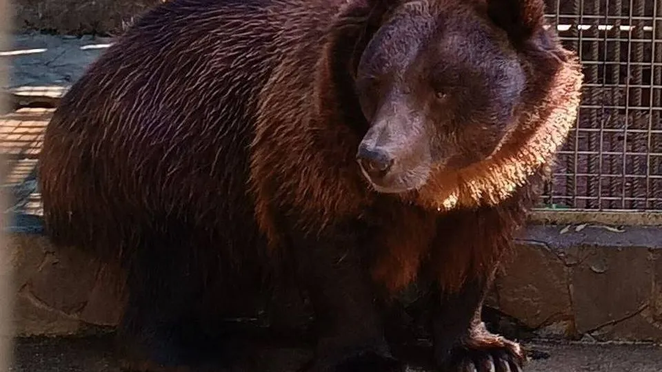 Фото: управление экологии городского округа Мытищи