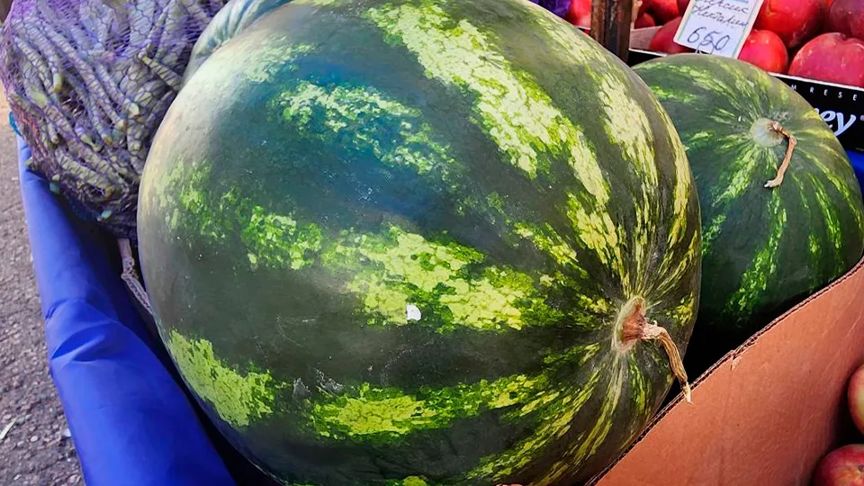 Фото: Валентина Максимова