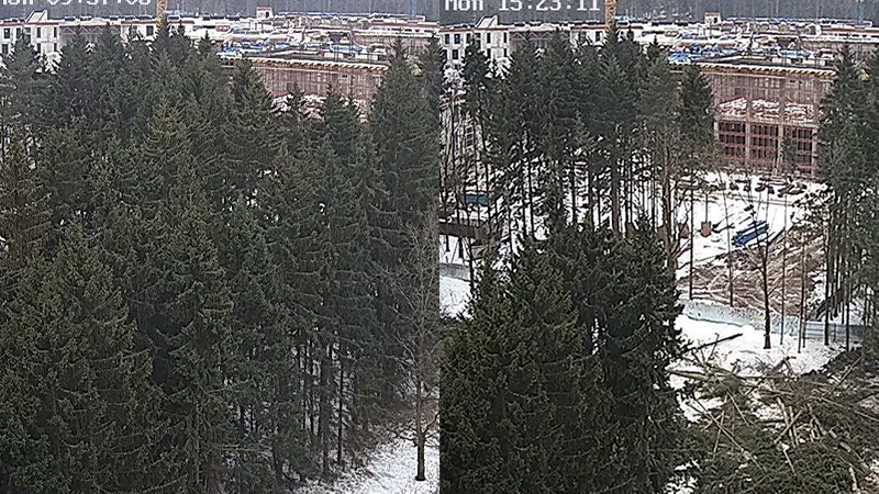 «Им на народ наплевать»: в Троицке активисты жалуются на вырубку леса