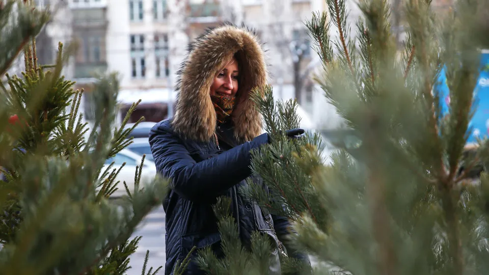 Фото: ТАСС/Артем Геодакян