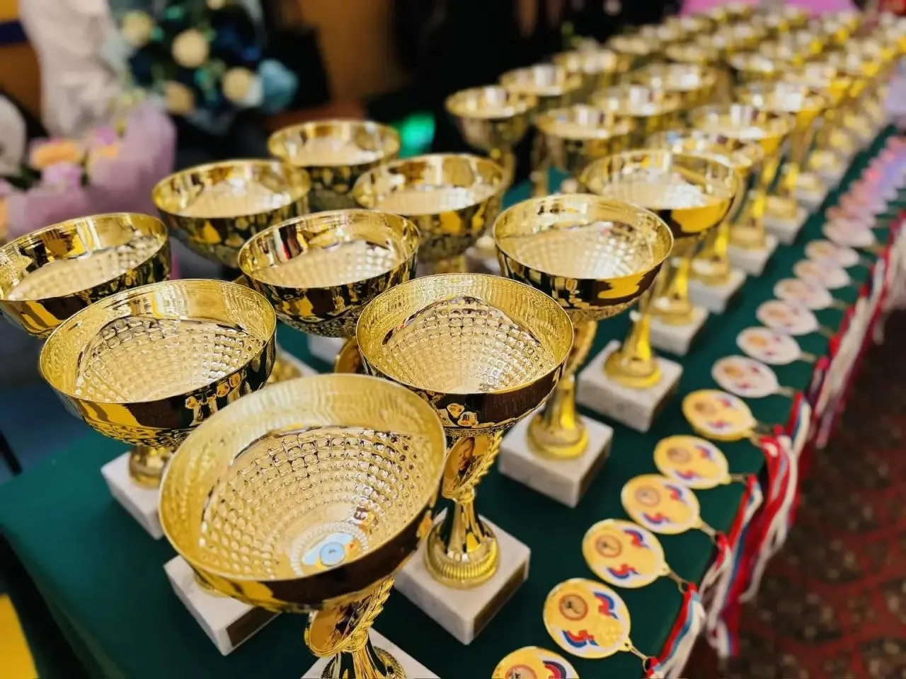 REGIONS/Татьяна Сташенко