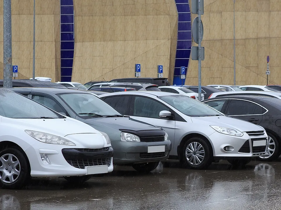 Фото: istockphoto.com/Apriori1