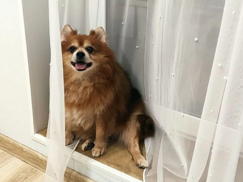 Фото: Гранель