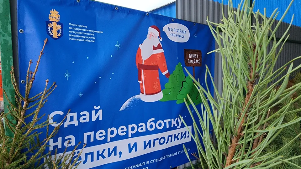 Фото: МедиаБанк Подмосковья/Валерия Тингаева