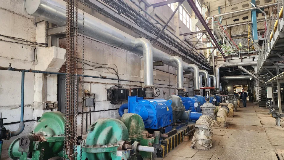 Фото: REGIONS/Ольга Аввакумова