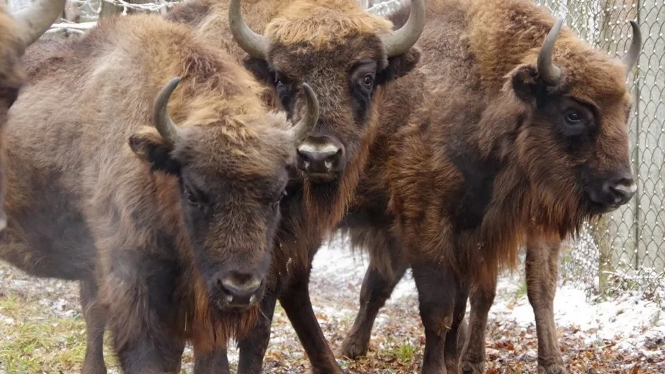 Фото: Ольга Калинина