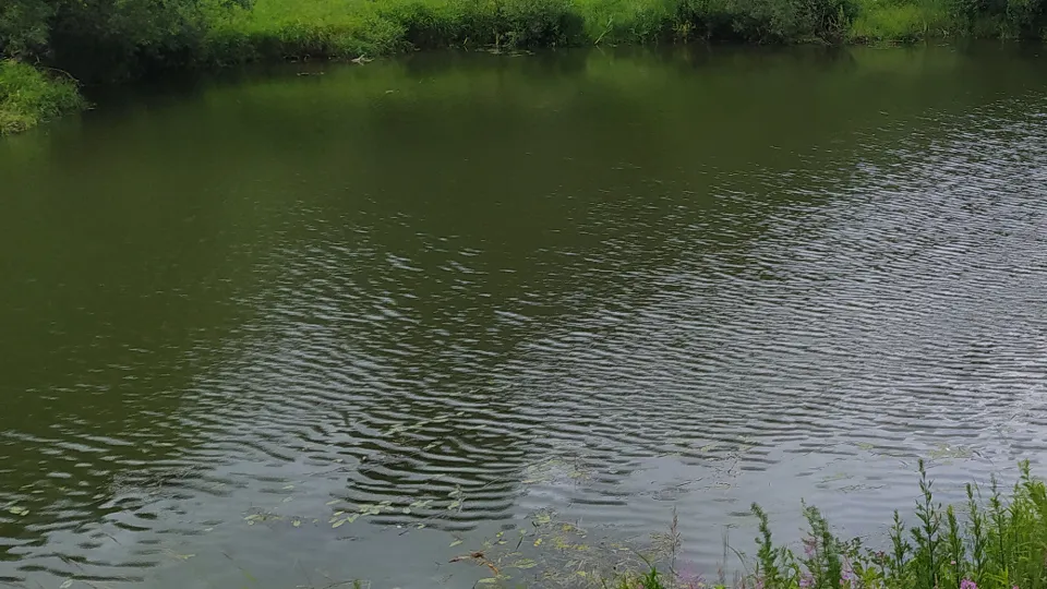 Фото: МедиаБанк Подмосковья/Владимир Киселев