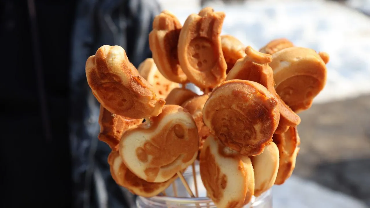 Фото: пресс-служба администрации г.о. Ступино