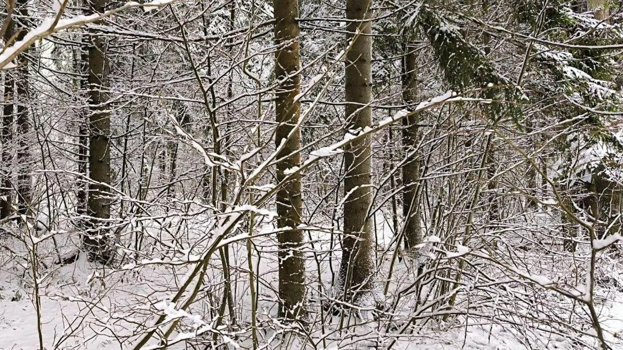 REGIONS/Роман Малышенко