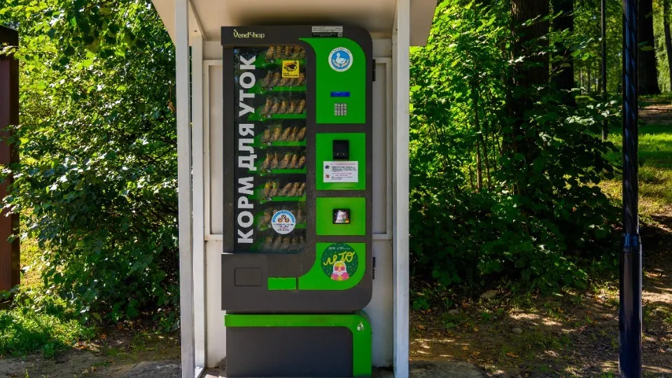 Фото: медиасток.рф