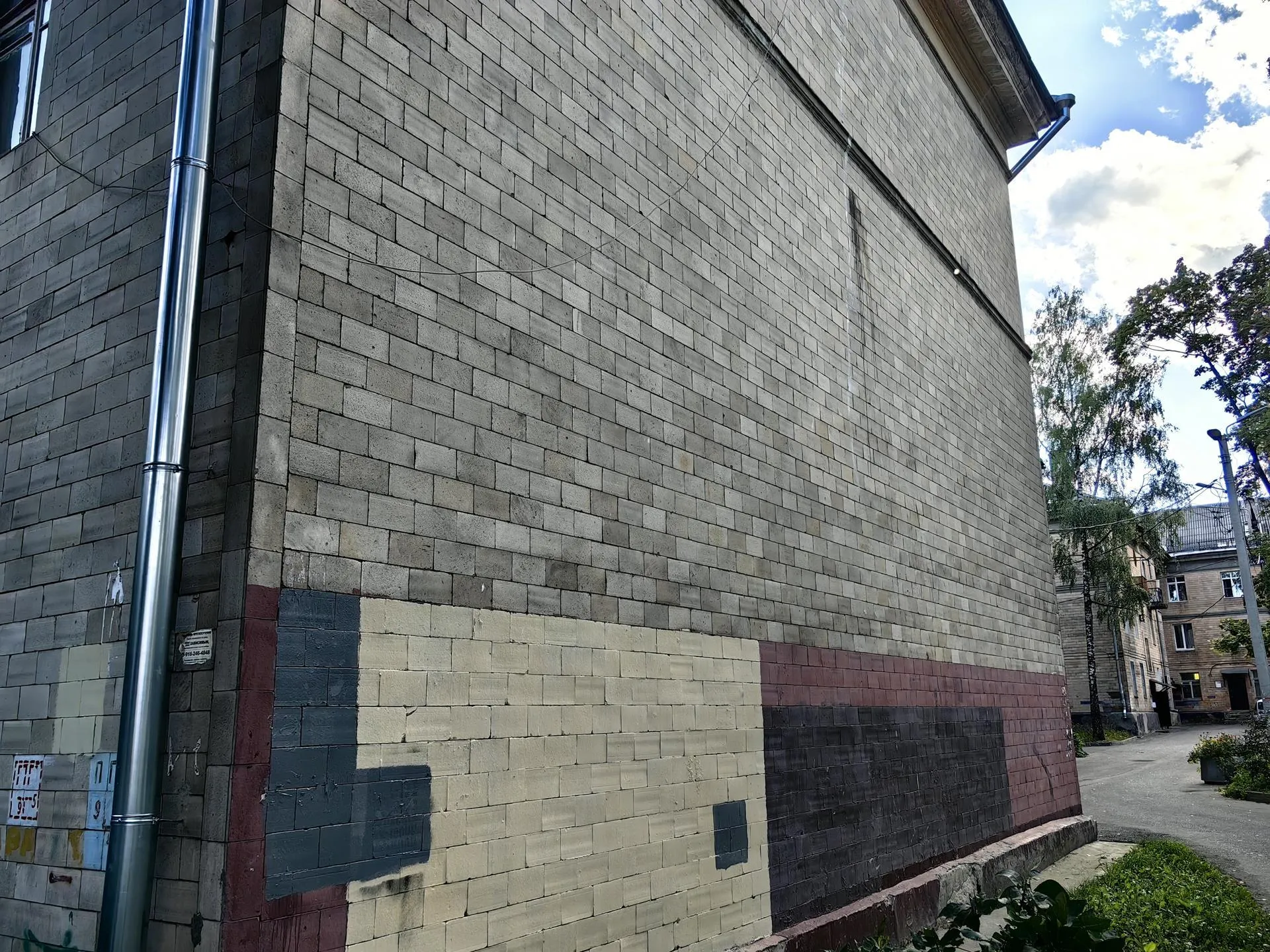 Елена Катасонова