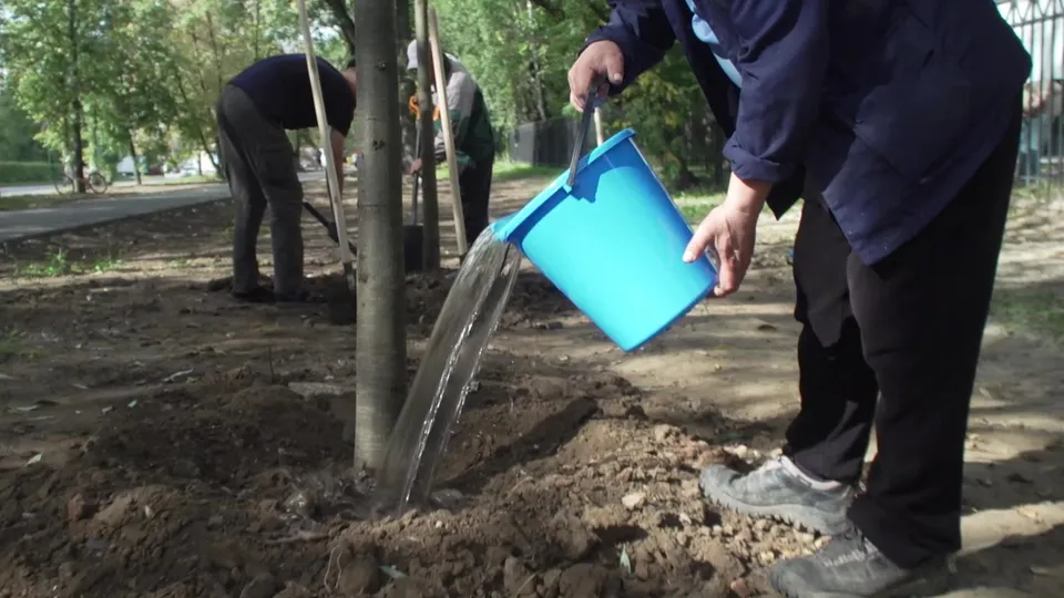 Фото: Ксения Казакова