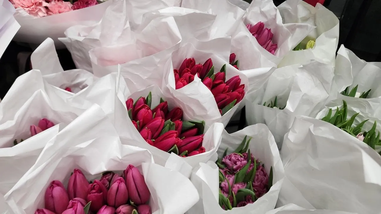 REGIONS/Анна Мороз