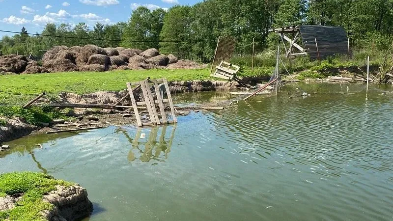 Фото: Министерство экологии и природопользования Московской области